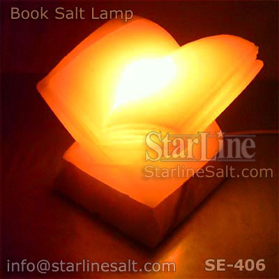 Book Salt Lamp